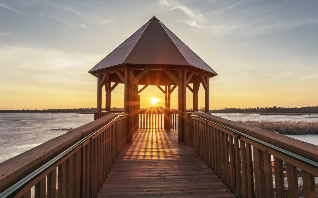A not-so-equal equinox: Why day beats night on the 1st day of spring