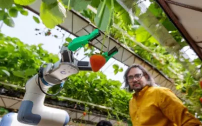 Fruit-picking robot wins national award