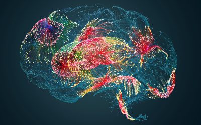 Brain aging results from a loss of control over how genes are regulated, mouse study suggests