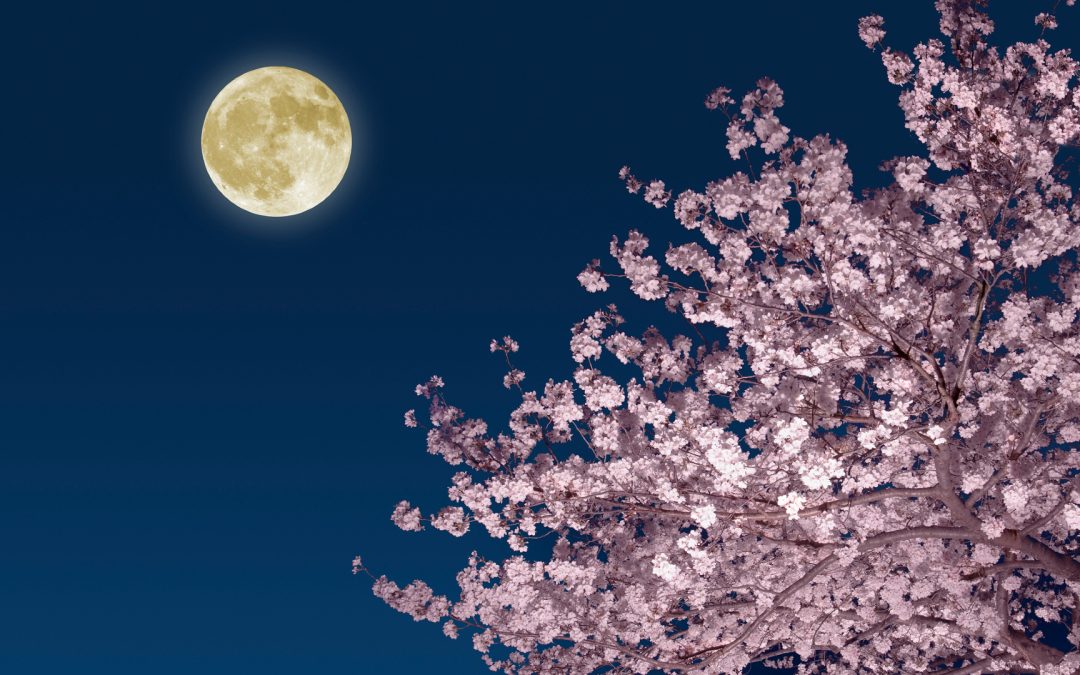 How to catch the full ‘Pink Moon’ in April followed by a ‘Blue Moon’ in May