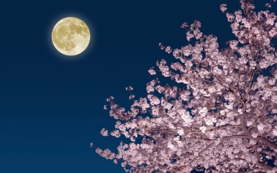 How to catch the full ‘Pink Moon’ in April followed by a ‘Blue Moon’ in May