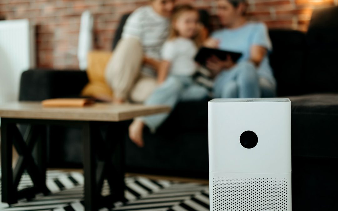 Best air purifiers 2026: Remove pollen, dust, smoke, pet dander and more