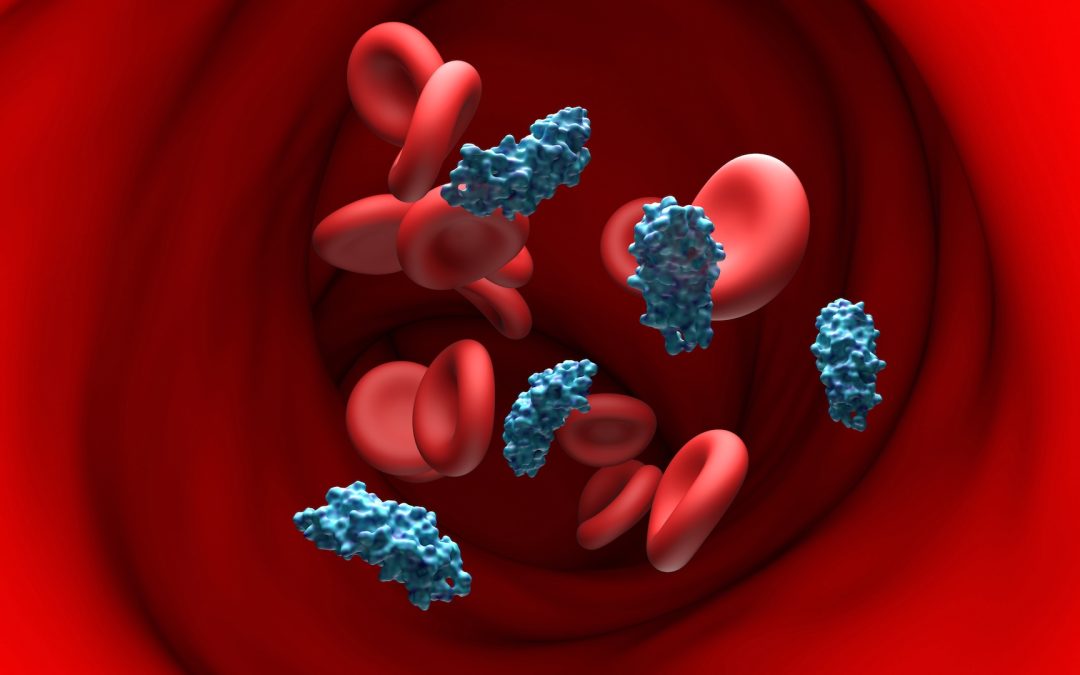 A gene carried by 99% of humanity raises Alzheimer’s risk dramatically. Could gene therapy correct it?