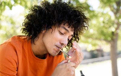 Why does cannabis give people ‘the munchies’?
