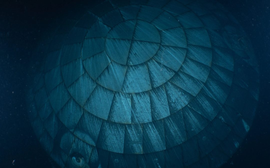 Artemis II heat shield aced its blistering reentry, ghostly underwater photo reveals