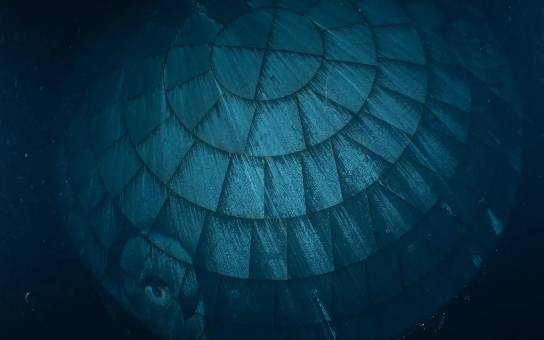 Artemis 2 heat shield is a sunken treasure in the ocean | Space photo of the day for April 28, 2026