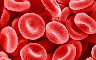 Diabetes rates are lower in high-altitude environments — and scientists may have discovered why