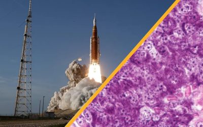 Science news this week: Artemis II lifts off, diabetes cured in mice, and smog in China shapes Arctic storms