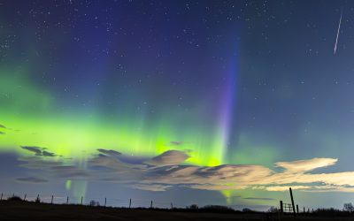 Spectacular photos of the 2026 Lyrid meteor shower captured from Earth and space
