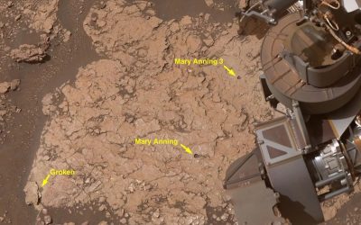 NASA rover uncovers rock with 7 new organic molecules on Mars — the ‘most diverse collection’ ever seen