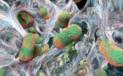 Scientists have discovered an ‘Achilles’ heel’ in deadly superbugs